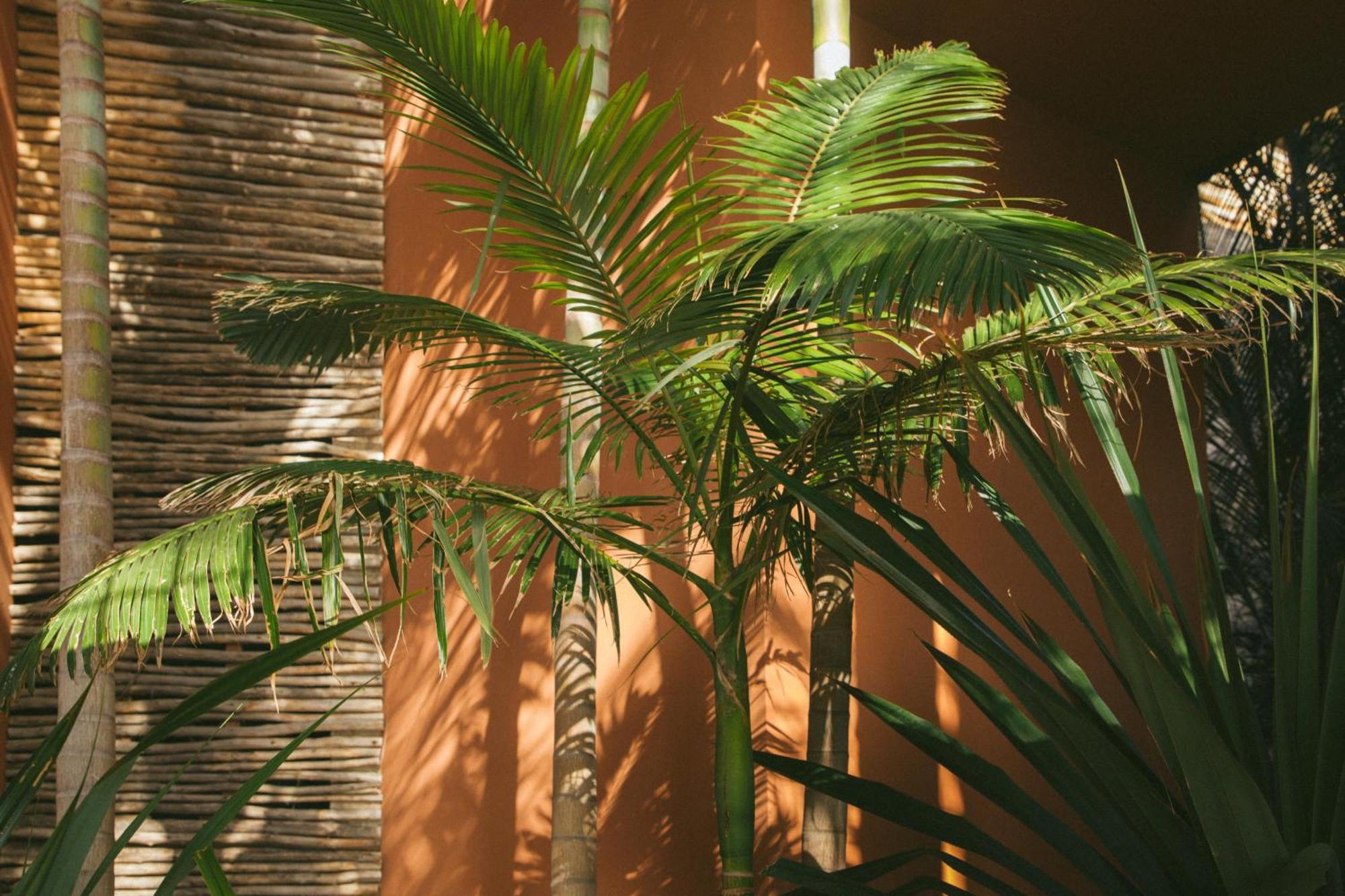Salobre Hotel Resort & Serenity Maspalomas  Esterno foto